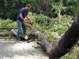 Seasonal Cleanup (Spring/Fall) in South Duxbury, MA